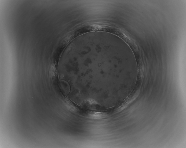 X0000112380467200908271323