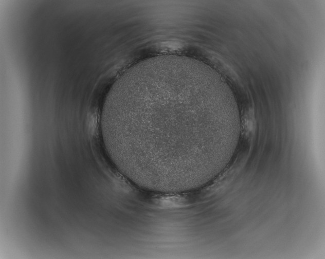 X0000112380468200908271323