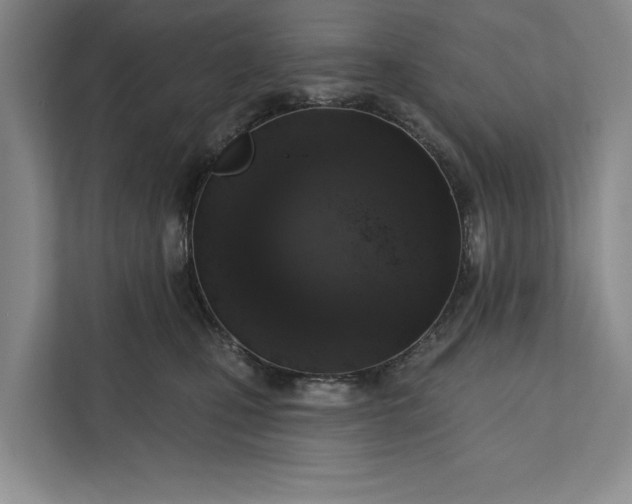 X0000112380471200908271323