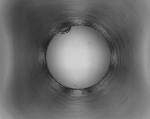 X0000112380473200908271323