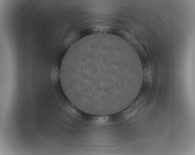 X0000112380474200908271323