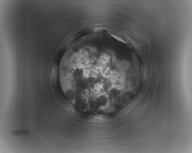 X0000112380475200908271323