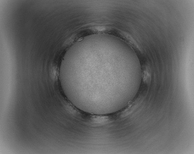 X0000112380476200908271323