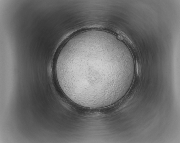 X0000112380483200908271323