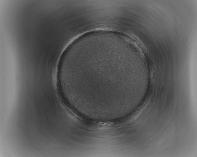 X0000112380484200908271323