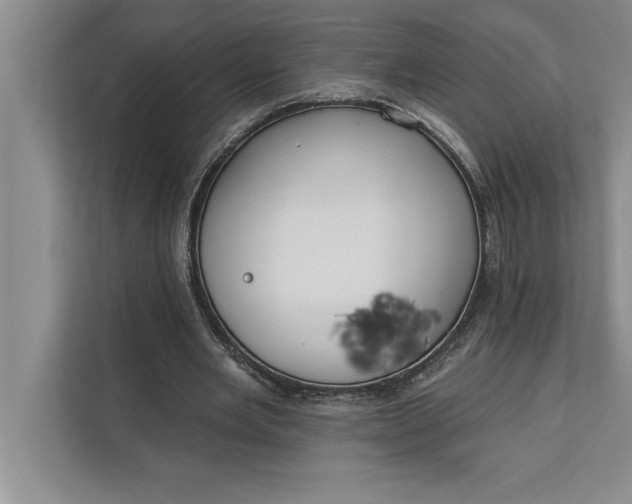 X0000112380485200908271323