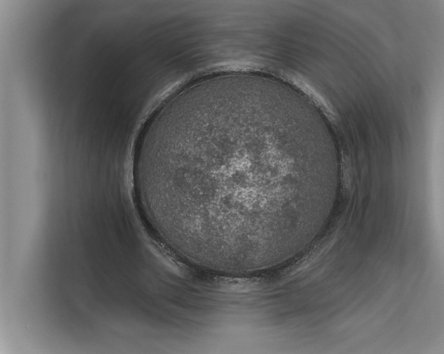 X0000112380486200908271323