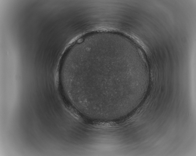 X0000112380488200908271323