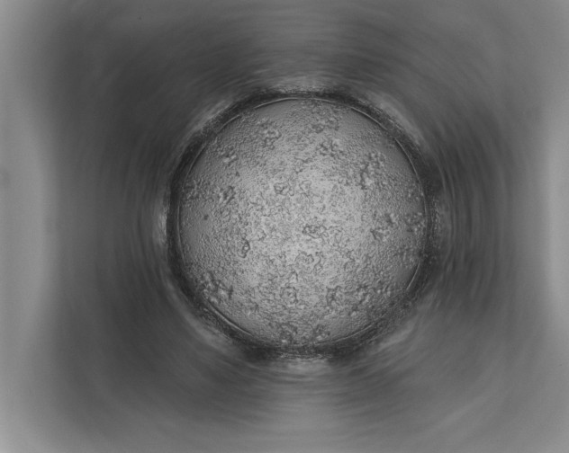 X0000112380491200908271322