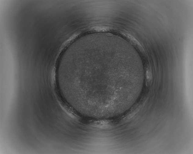 X0000112380492200908271322