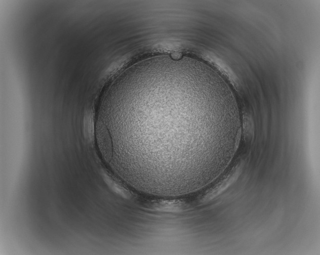 X0000112380493200908271322