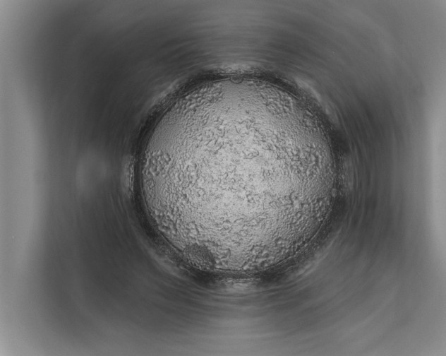 X0000112380495200908271322