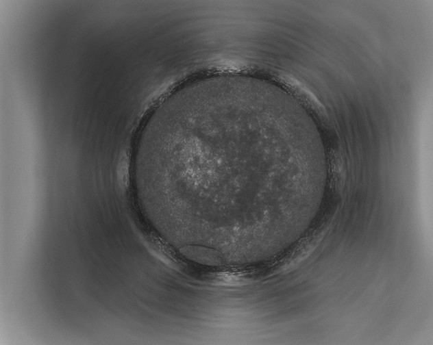 X0000112380496200908271322