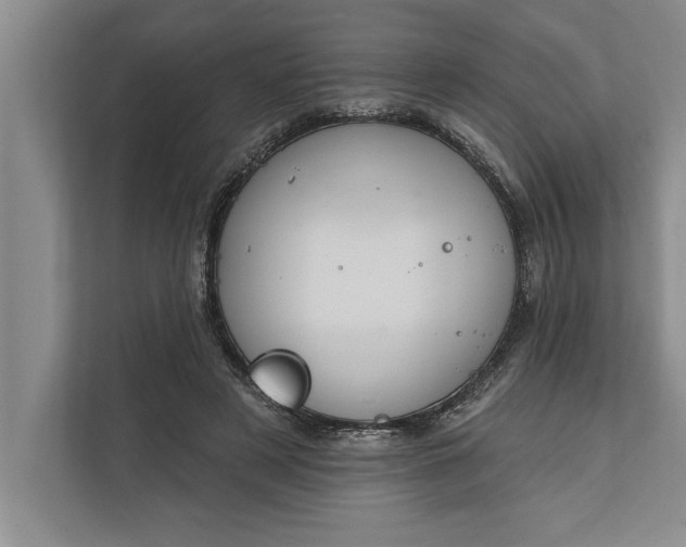 X0000112380497200908271322