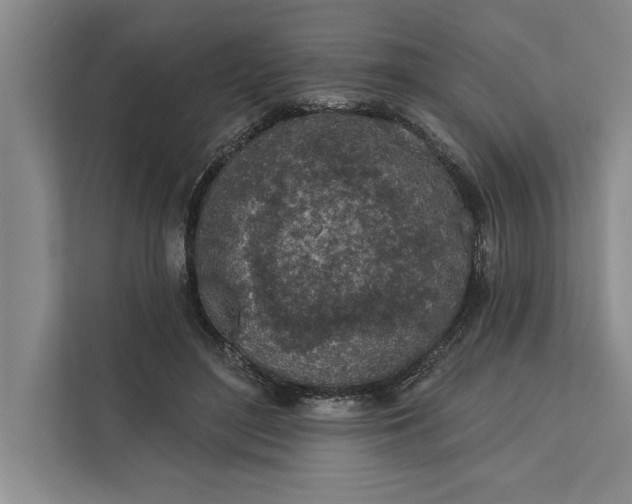 X0000112380500200908271322