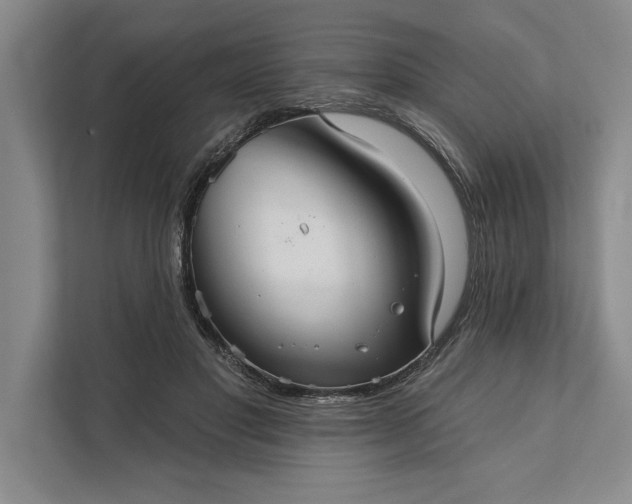 X0000112380501200908271322