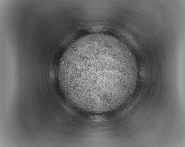 X0000112380503200908271322