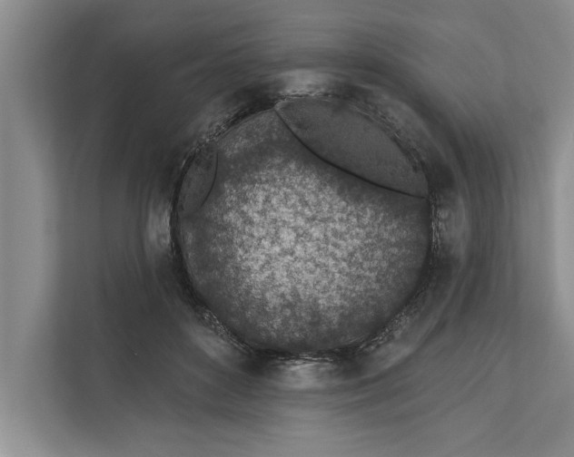 X0000112380504200908271322