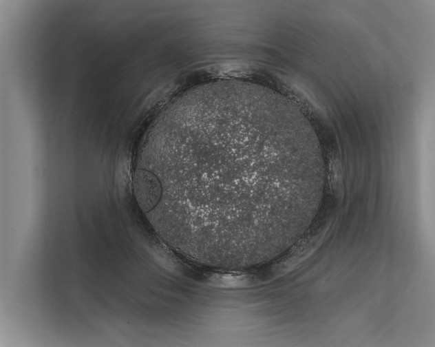 X0000112380506200908271322