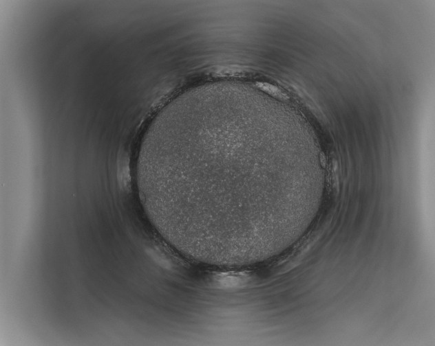 X0000112380508200908271322