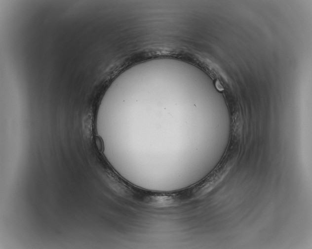 X0000112380509200908271322