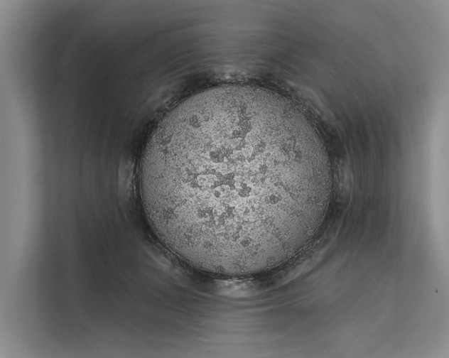 X0000112380511200908271322