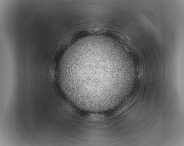 X0000112380515200908271322