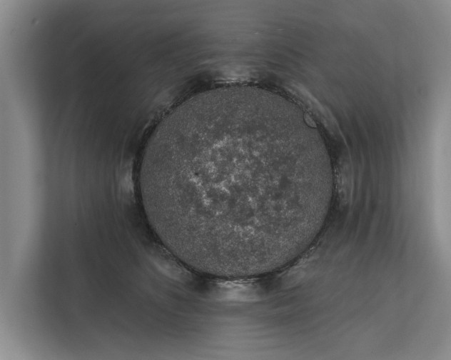 X0000112380516200908271322