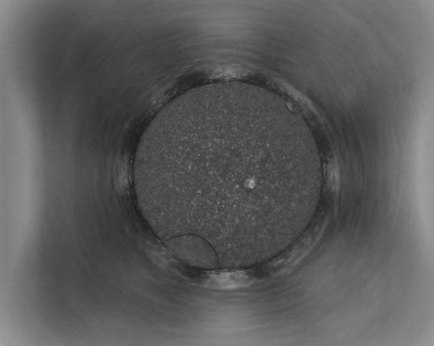 X0000112380517200908271322