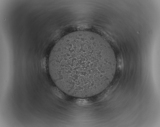 X0000112380519200908271322