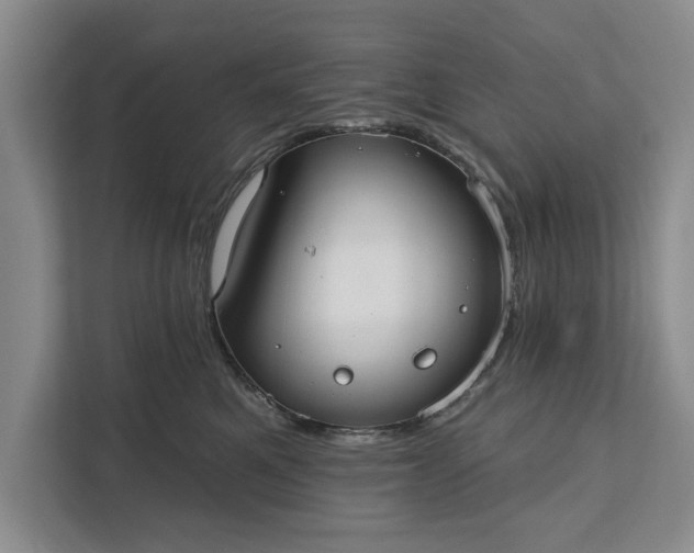 X0000112380521200908271322