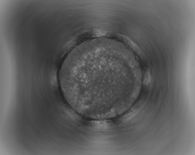 X0000112380524200908271322