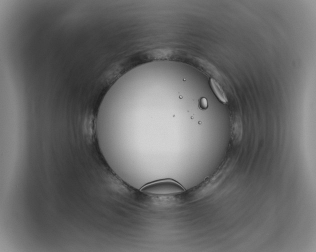 X0000112380525200908271322