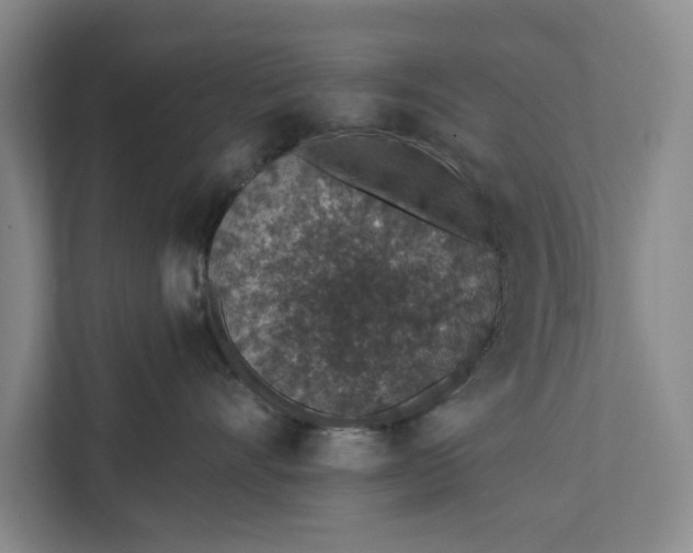 X0000112380528200908271322