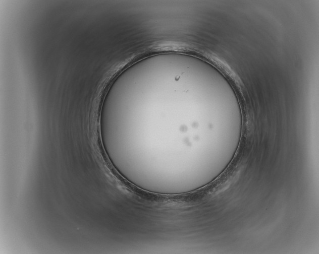 X0000112380529200908271321