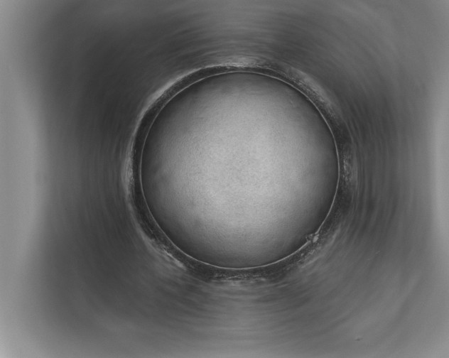 X0000112380532200908271321