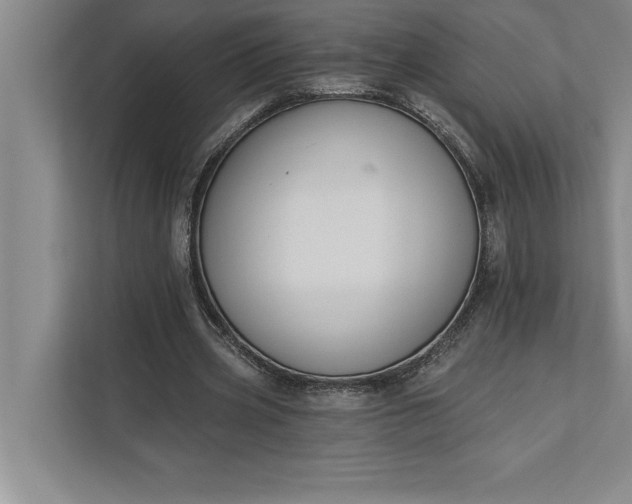 X0000112380533200908271321