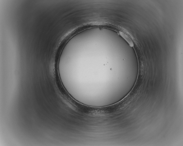 X0000112380535200908271321