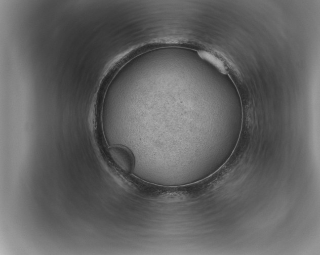 X0000112380536200908271321