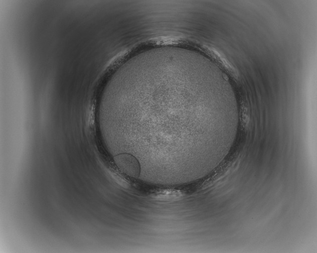 X0000112380543200908271322