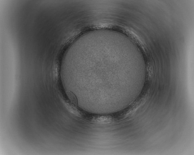 X0000112380546200908271322