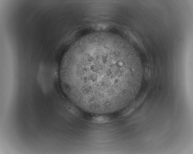 X0000112380561200908271322