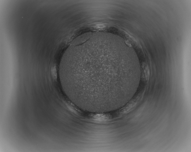 X0000112380562200908271322