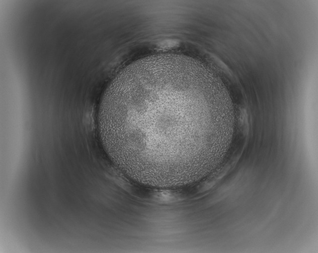 X0000112380565200908271322