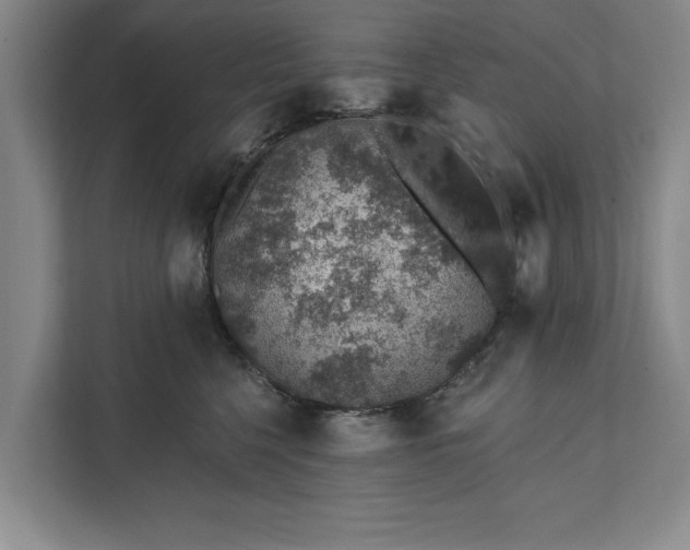 X0000112380568200908271322