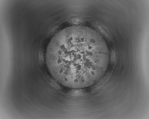 X0000112380569200908271322