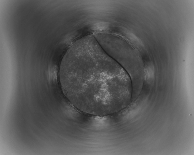 X0000112380570200908271322