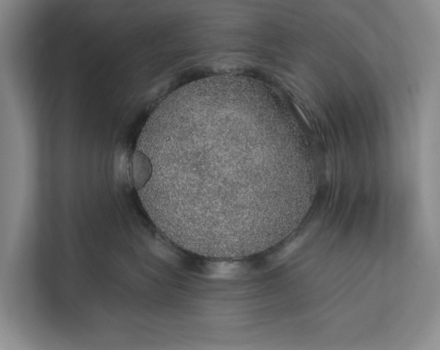 X0000112380575200908271322