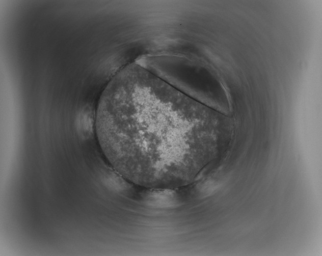 X0000112380576200908271322