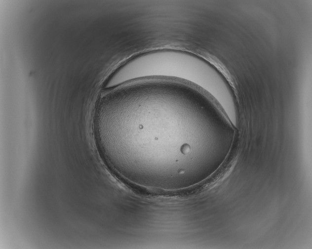 X0000112380577200908271321